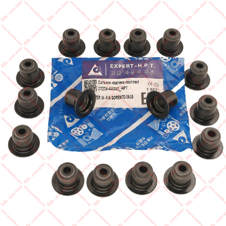 22224-4A000_LEON
