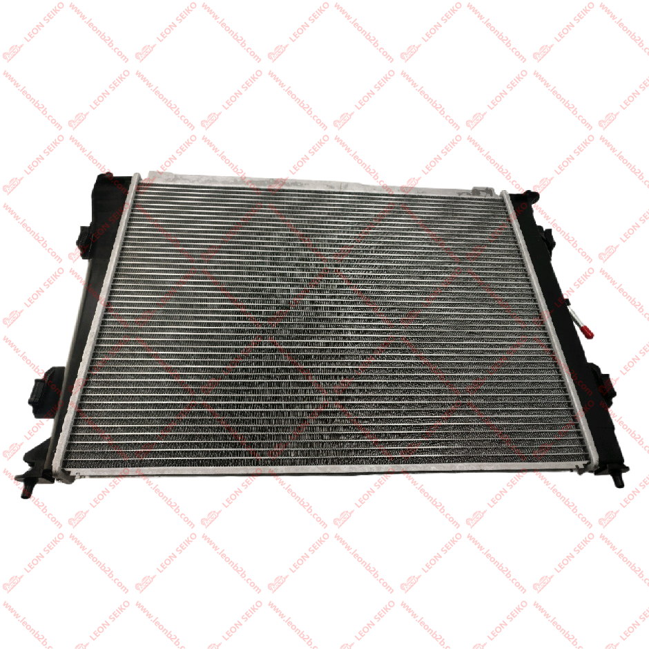 25310-3S650_LEON