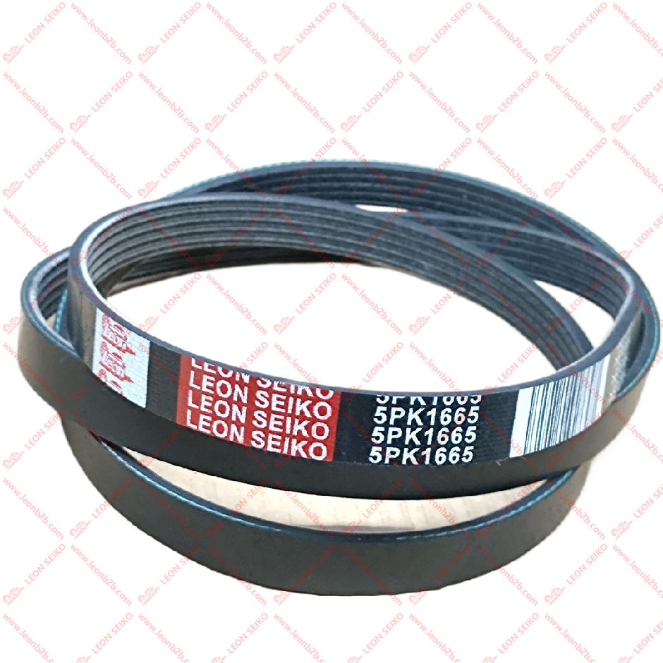 5PK1665_LEON