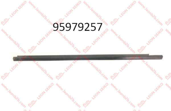 95979257_LEON