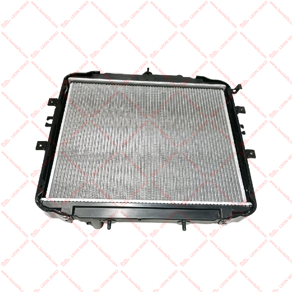25310-4F100_LEON