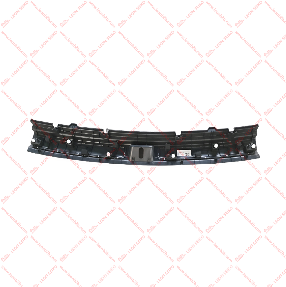 X01-54020250_LEON