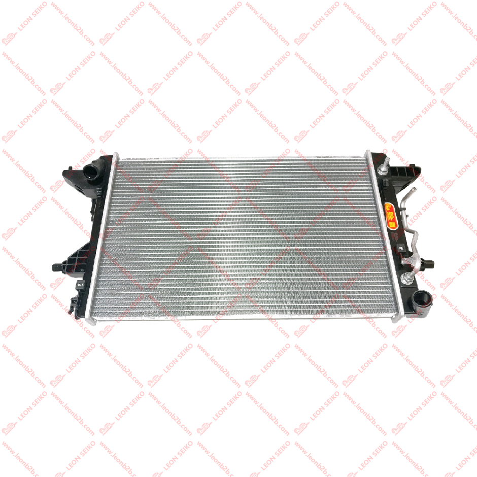 25310-AA100_LEON