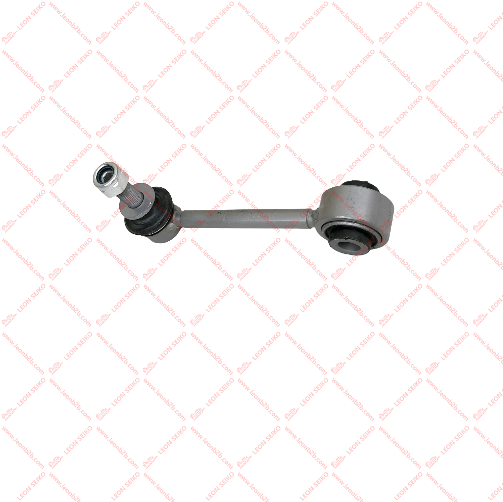 X01-29160015_LEON