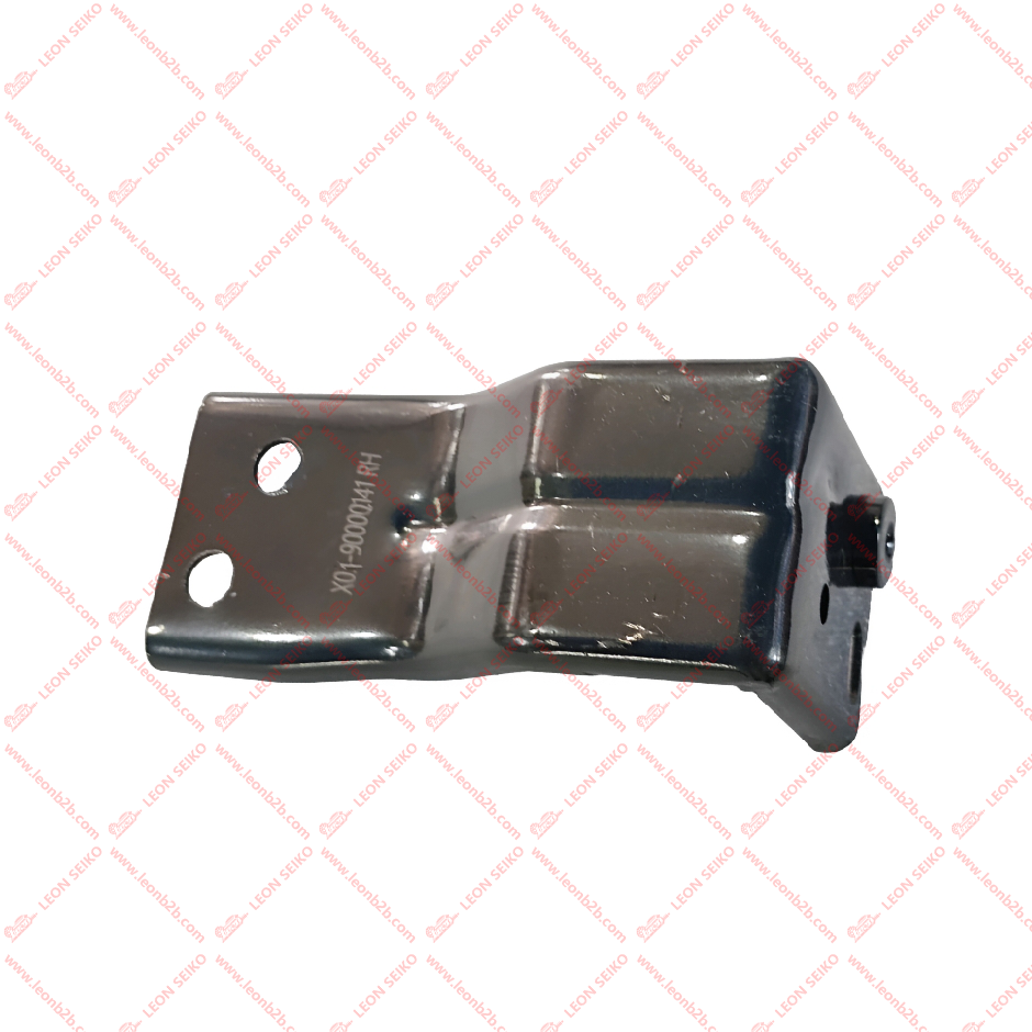 X01-90000141_LEON