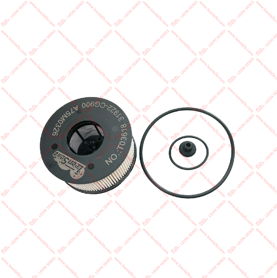 31922-CG900_LEON