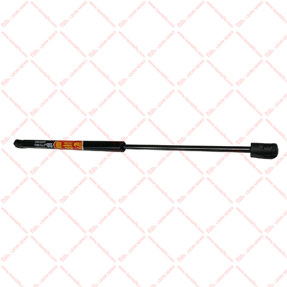 81770-G6010_LEON