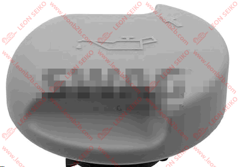 650091_LEON