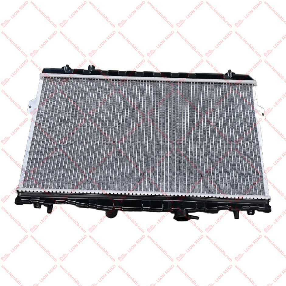 25310-2D100_LEON