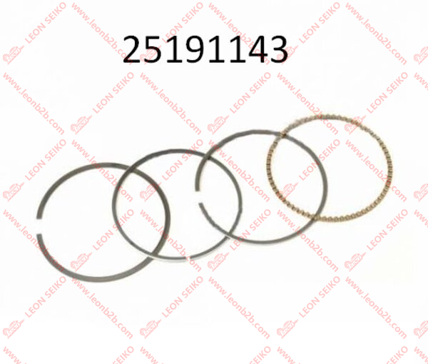 25191143 STD_LEON