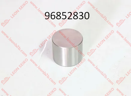96852830_LEON