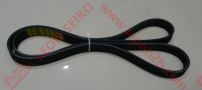 6PK1590_BEAR