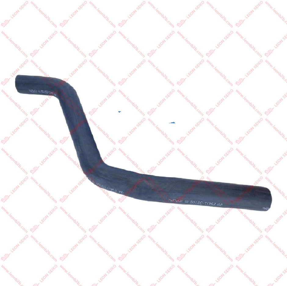 25415-3D700_LEON