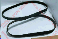 7PK1640_BEAR