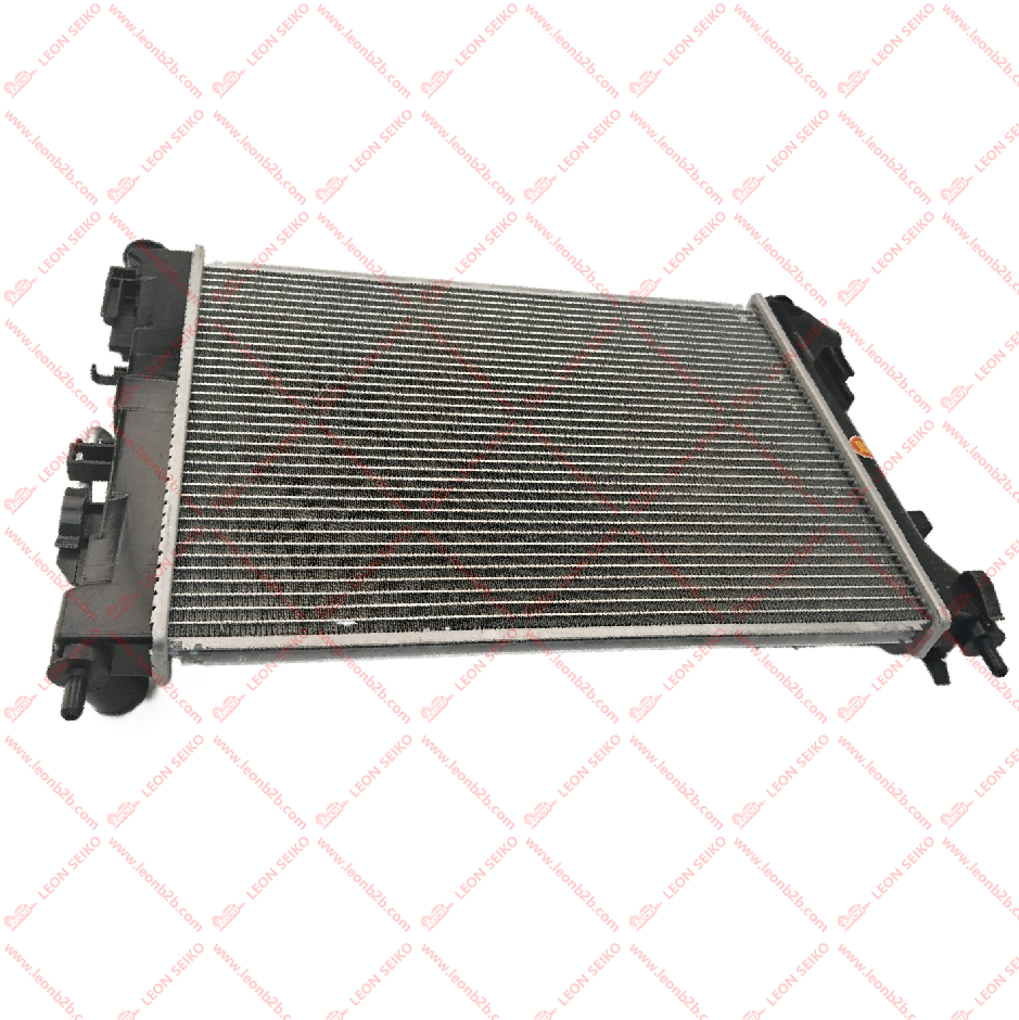 25310-H5050_LEON