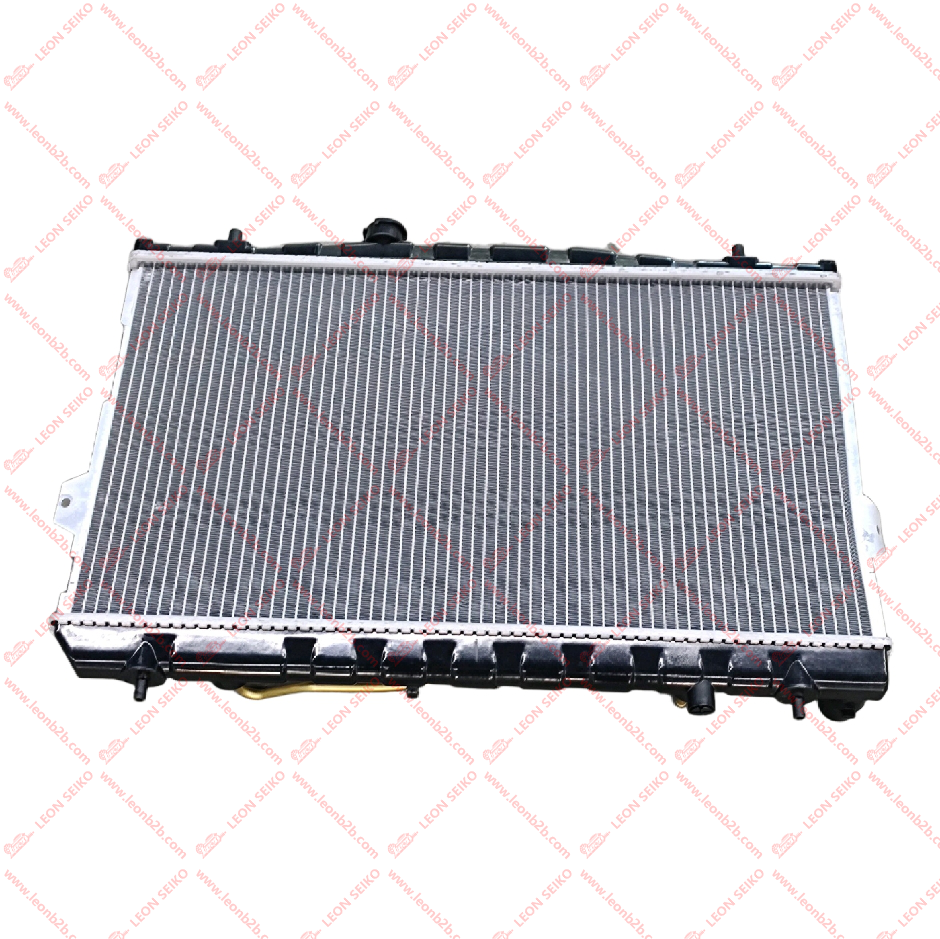 25310-2D010_LEON