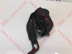 42344468_LEON