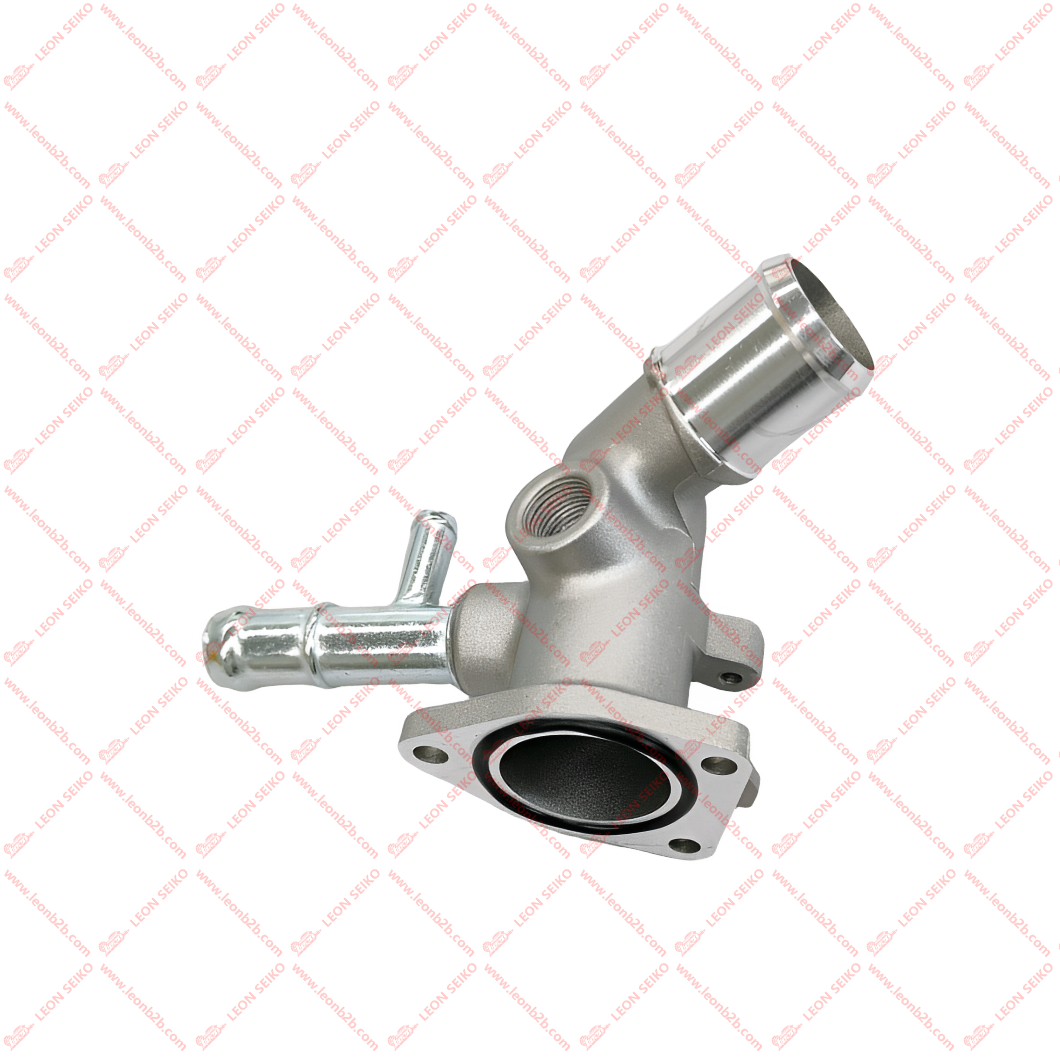 25620-2B003_LEON