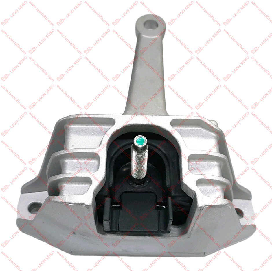 21810-F2000_LEON