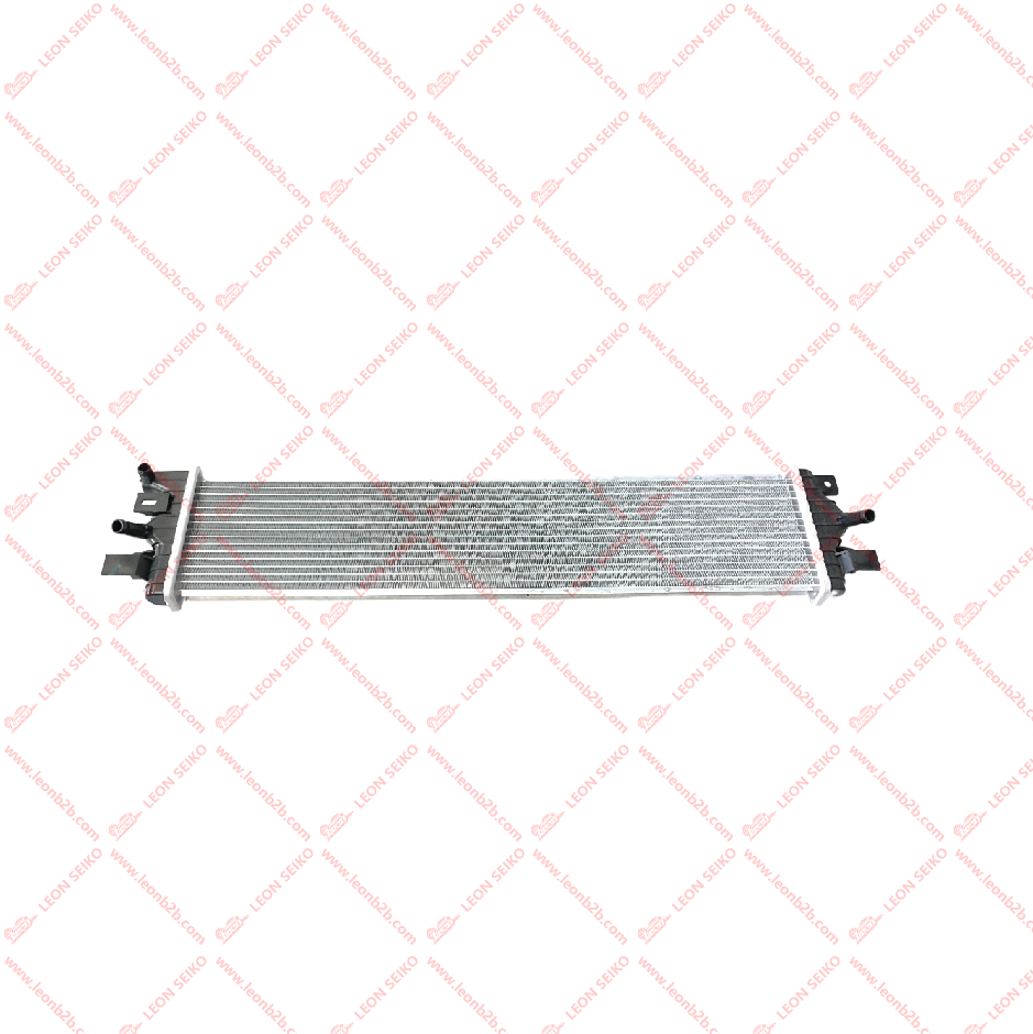X01-21270026_LEON