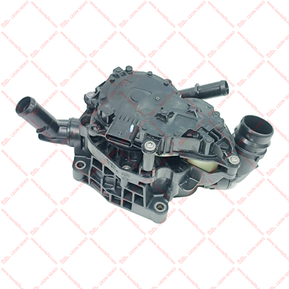 25600-2J100_LEON