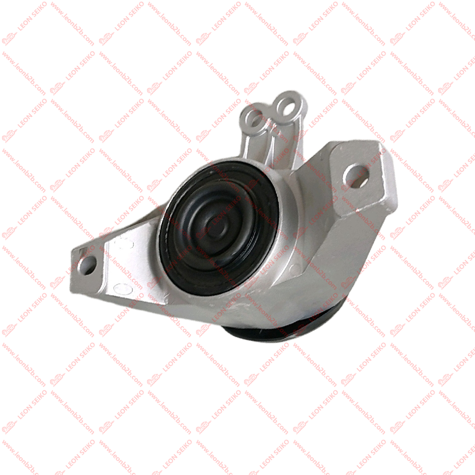 21810-L2100_LEON