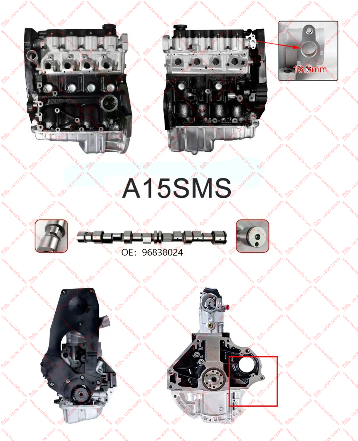 A15SMS_LEON