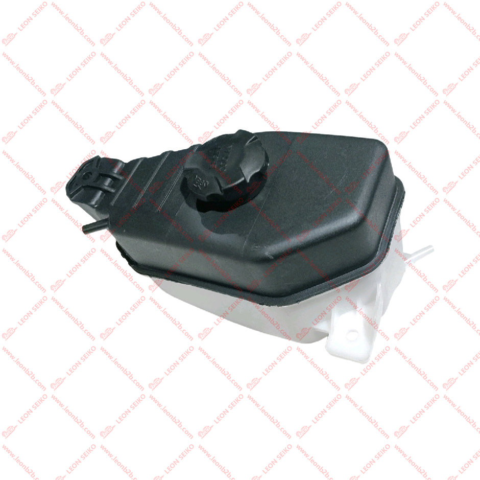 25430-S1000_LEON