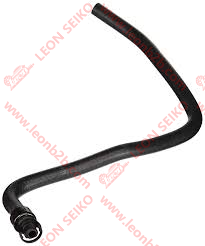 13251447_LEON