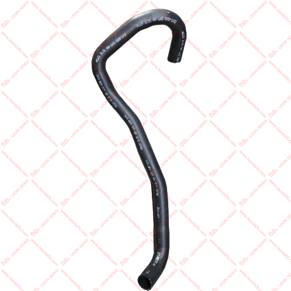 25415-3S000_LEON
