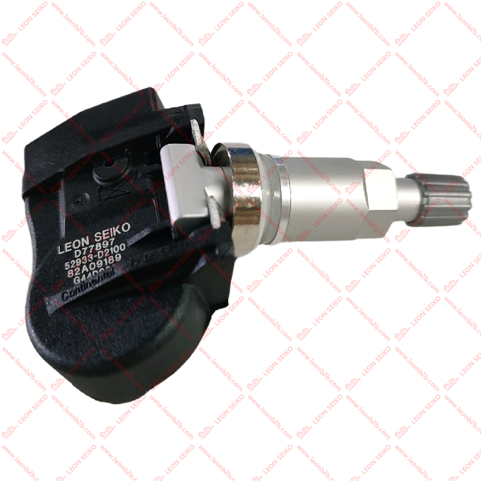 52933-D2100_LEON