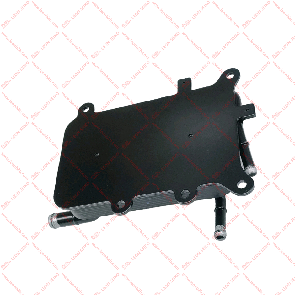 25620-D5000_LEON