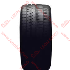 22990565_LEON