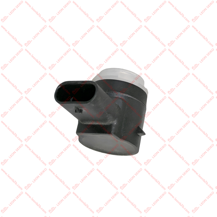 7917080-CR20_LEON