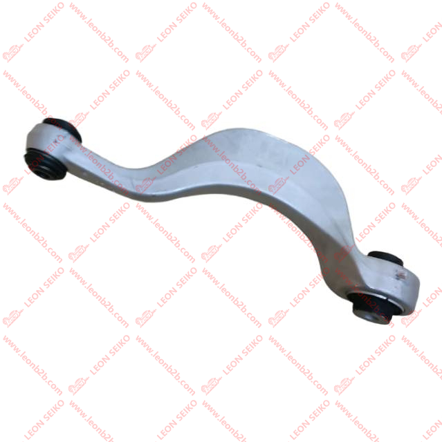 X01-29140019_LEON