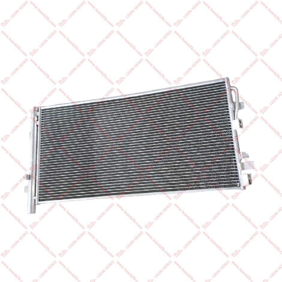 X03-81050011_LEON