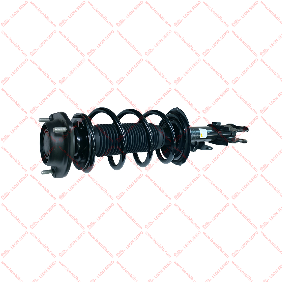 2904100-W01-BA_LEON