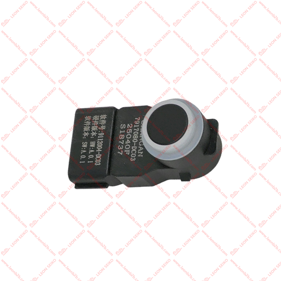 7917080-DC03_LEON