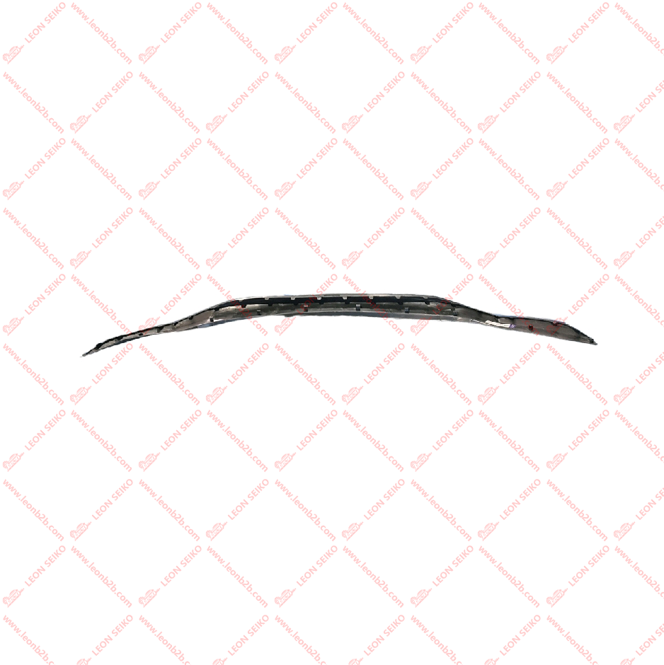 86591-F2AA0_LEON