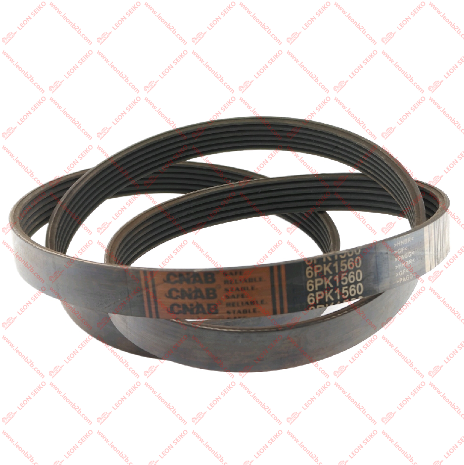 6PK1560_BEAR