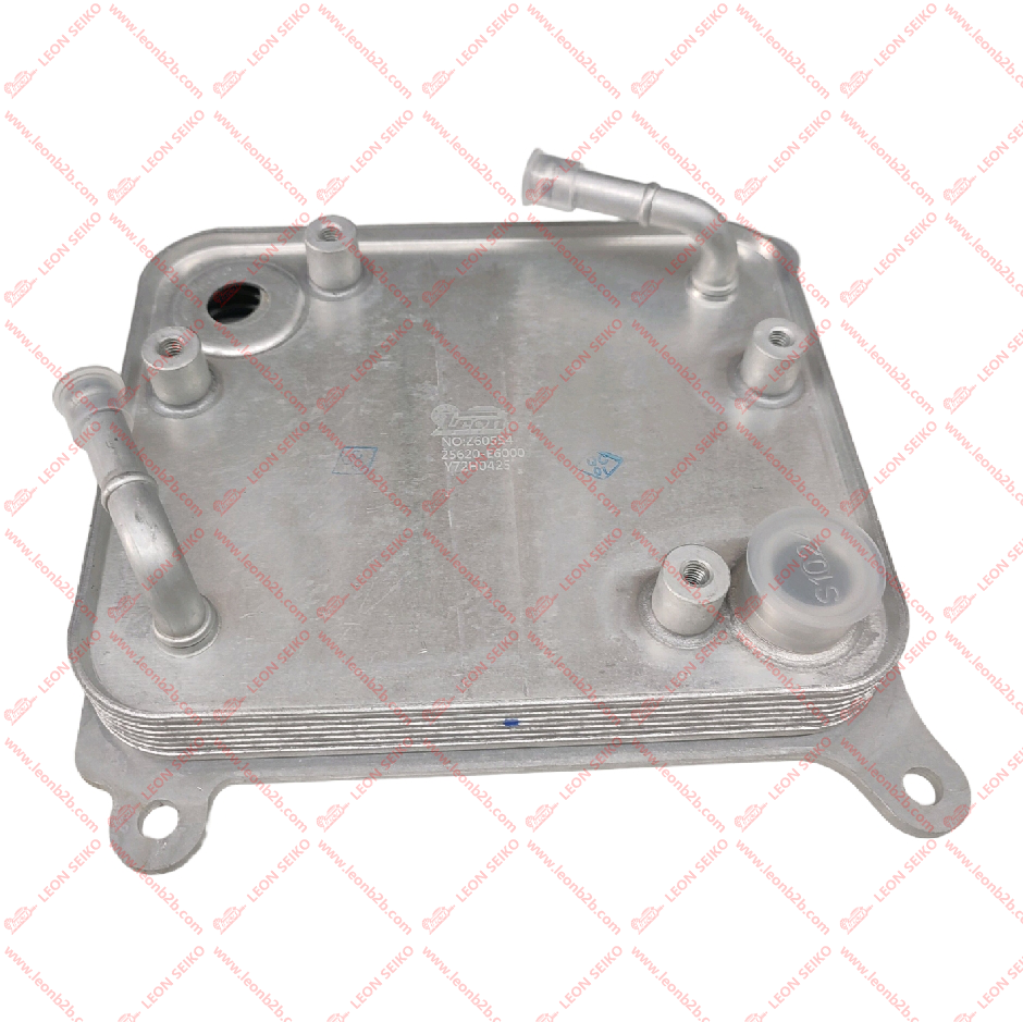 25620-E6000_LEON