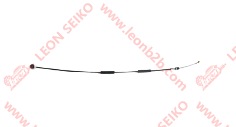15910A78B00-000_LEON