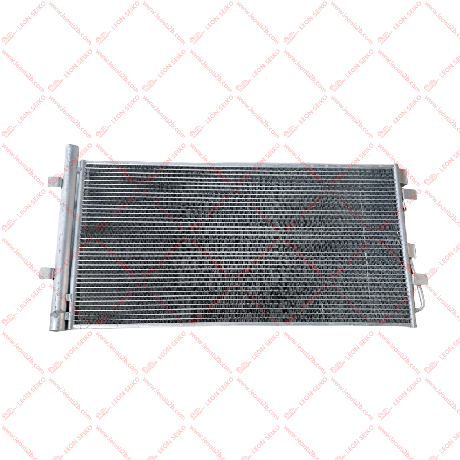 X03-81050011_LEON