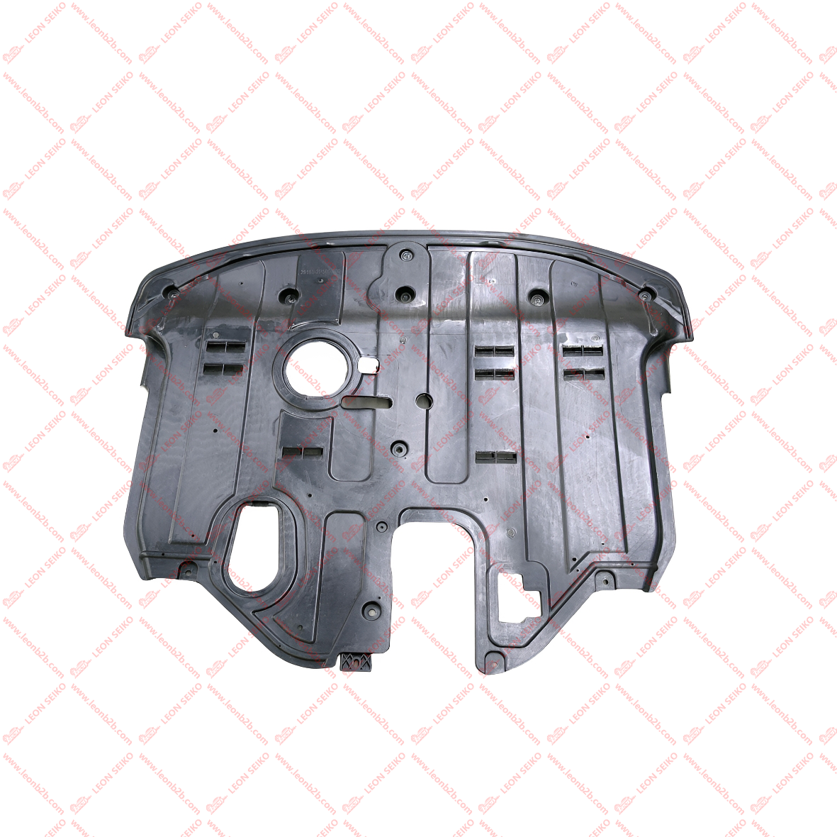 29110-P2500_LEON