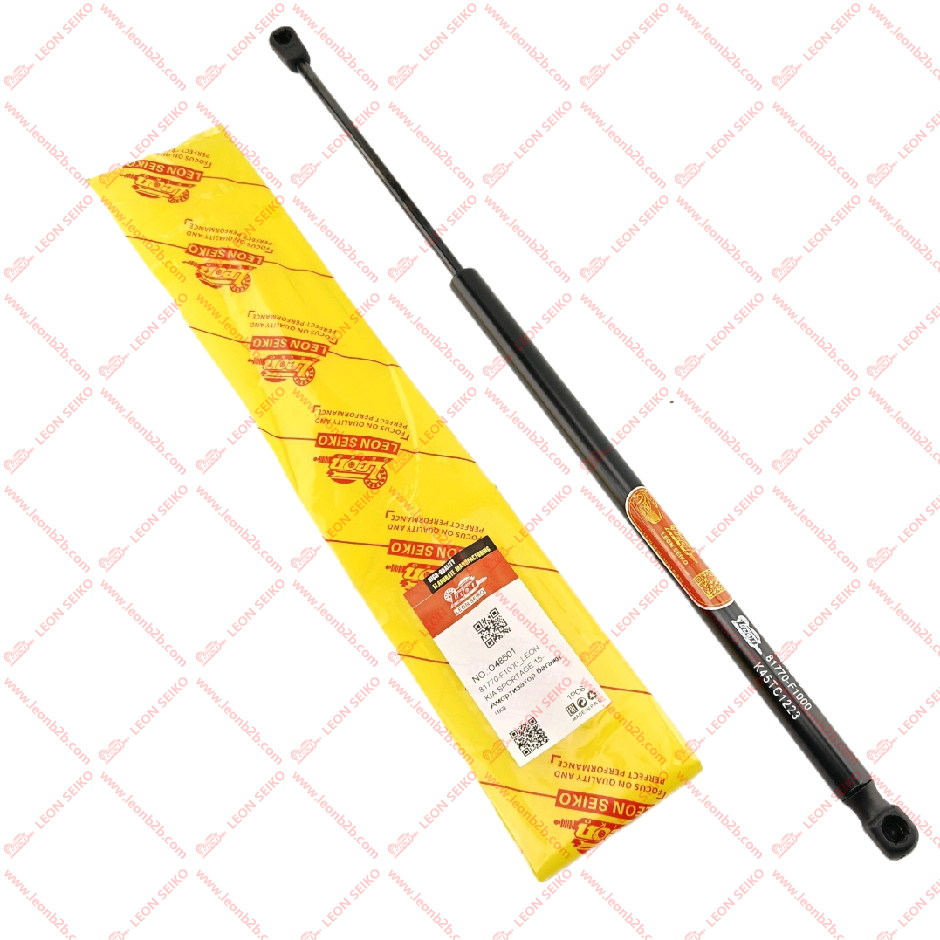 81770-F1000_LEON