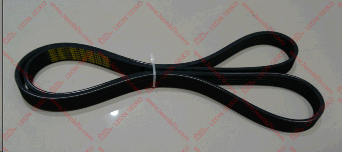 6PK1590_BEAR