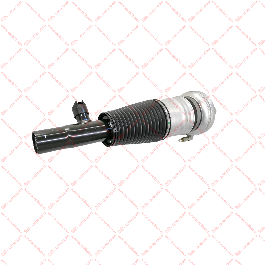 X01-29150020_LEON