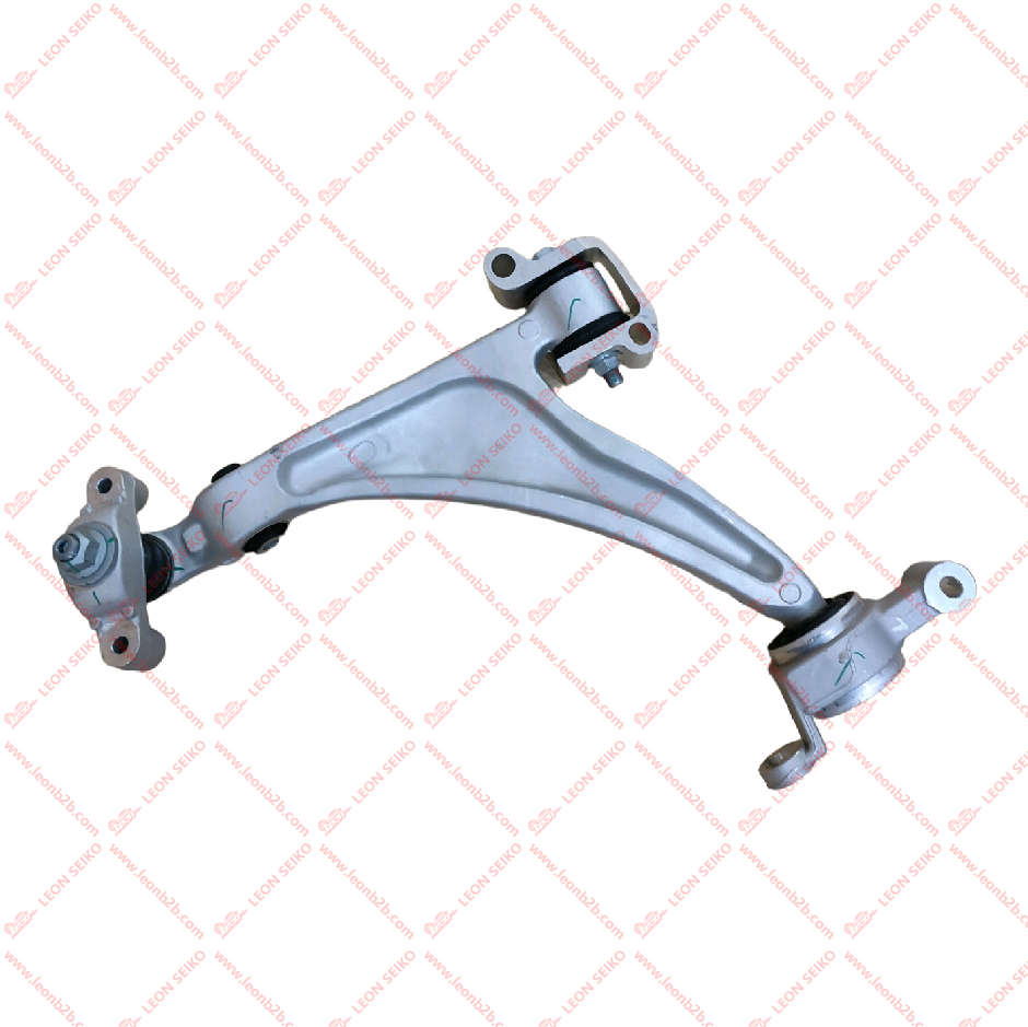 X01-29040017_LEON