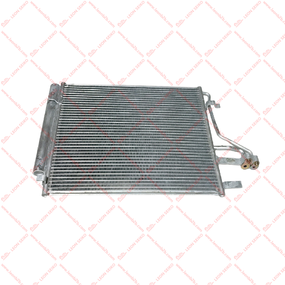 97606-G6000_LEON