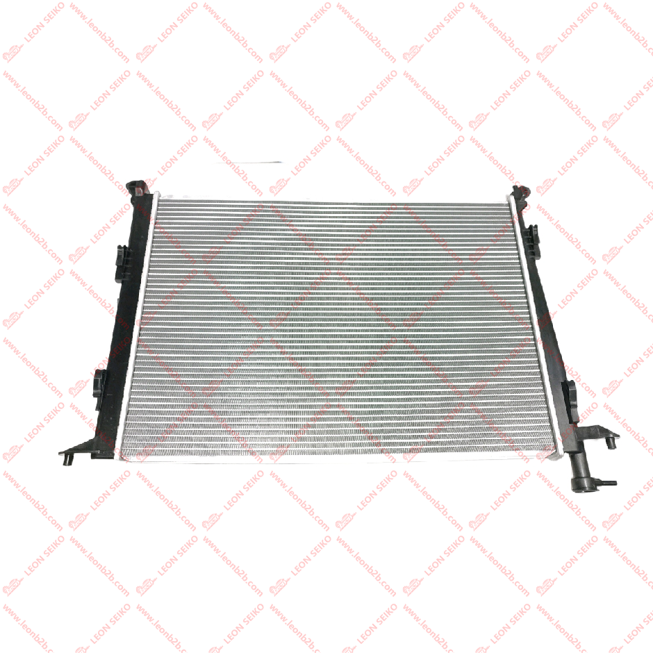 25310-S8700_LEON